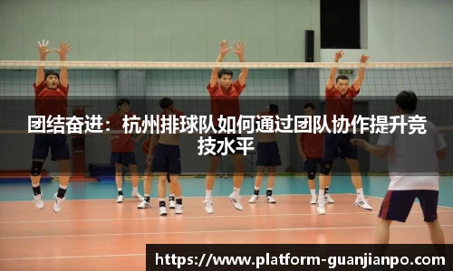 团结奋进：杭州排球队如何通过团队协作提升竞技水平