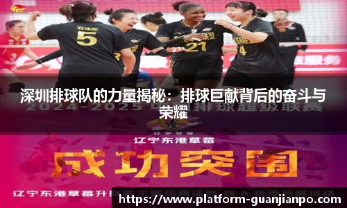 深圳排球队的力量揭秘：排球巨献背后的奋斗与荣耀